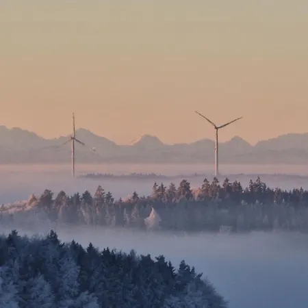 Hombergshalden * Geisingen